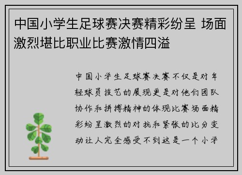 中国小学生足球赛决赛精彩纷呈 场面激烈堪比职业比赛激情四溢