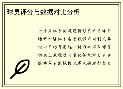 球员评分与数据对比分析