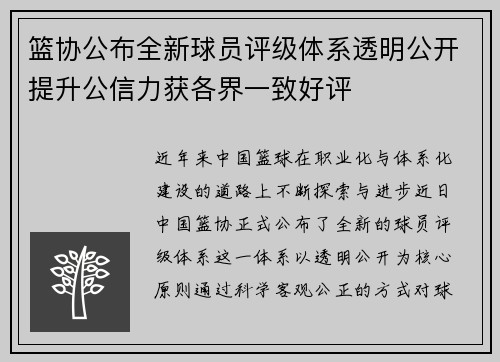 篮协公布全新球员评级体系透明公开提升公信力获各界一致好评